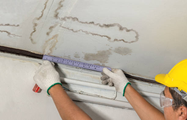Reliable Flood Cleanup contractor in West Springfield, MA by Water Damage Irwin